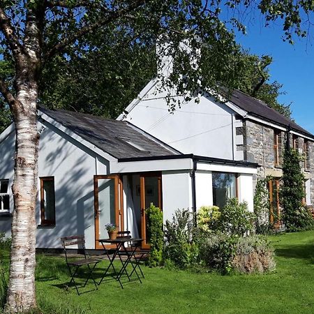 Nant Yr Onnen B&B And Holiday Cottage Tregaron Eksteriør billede
