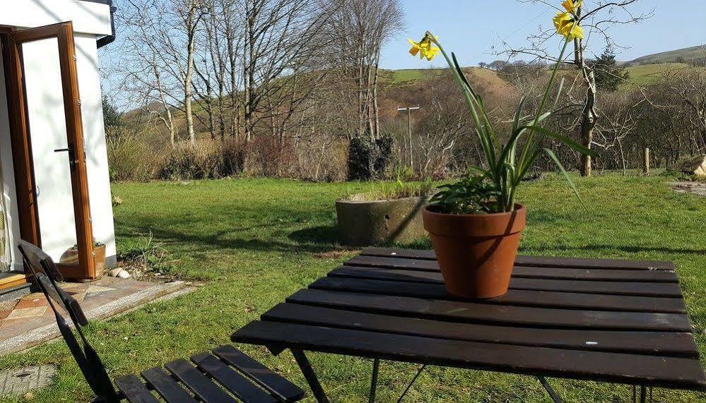 Nant Yr Onnen B&B And Holiday Cottage Tregaron Eksteriør billede