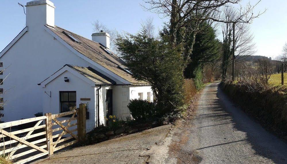 Nant Yr Onnen B&B And Holiday Cottage Tregaron Eksteriør billede