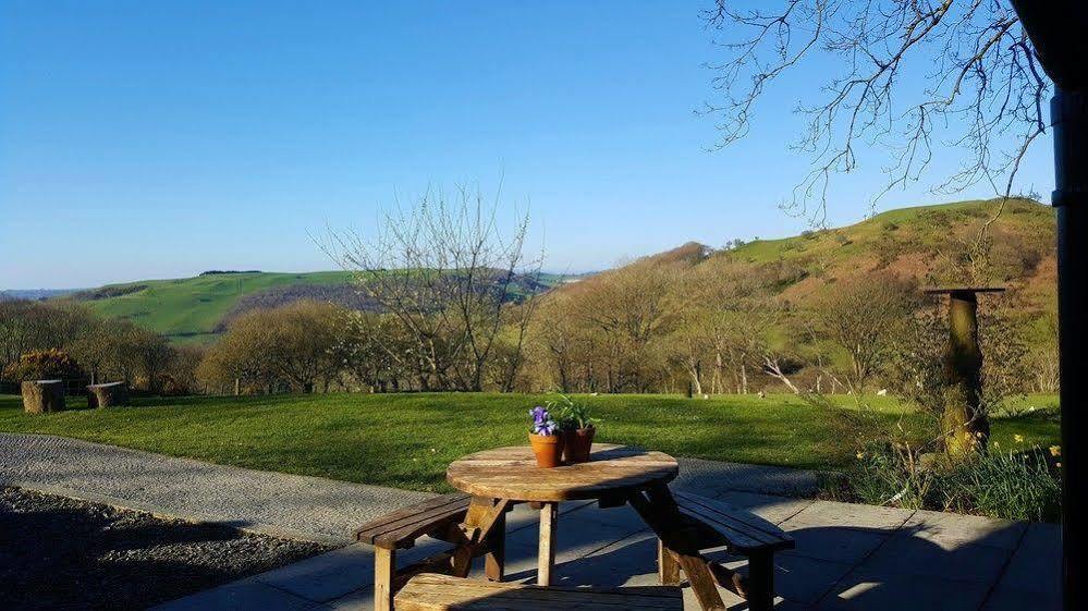 Nant Yr Onnen B&B And Holiday Cottage Tregaron Eksteriør billede