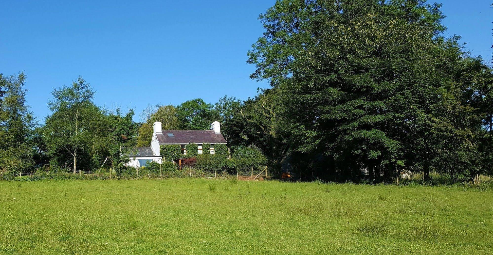 Nant Yr Onnen B&B And Holiday Cottage Tregaron Eksteriør billede