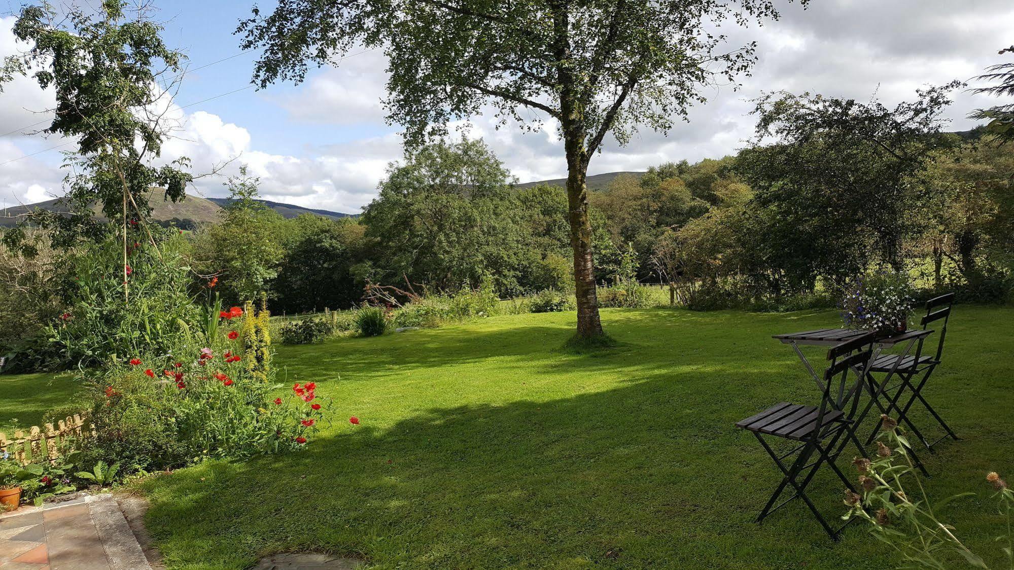 Nant Yr Onnen B&B And Holiday Cottage Tregaron Eksteriør billede