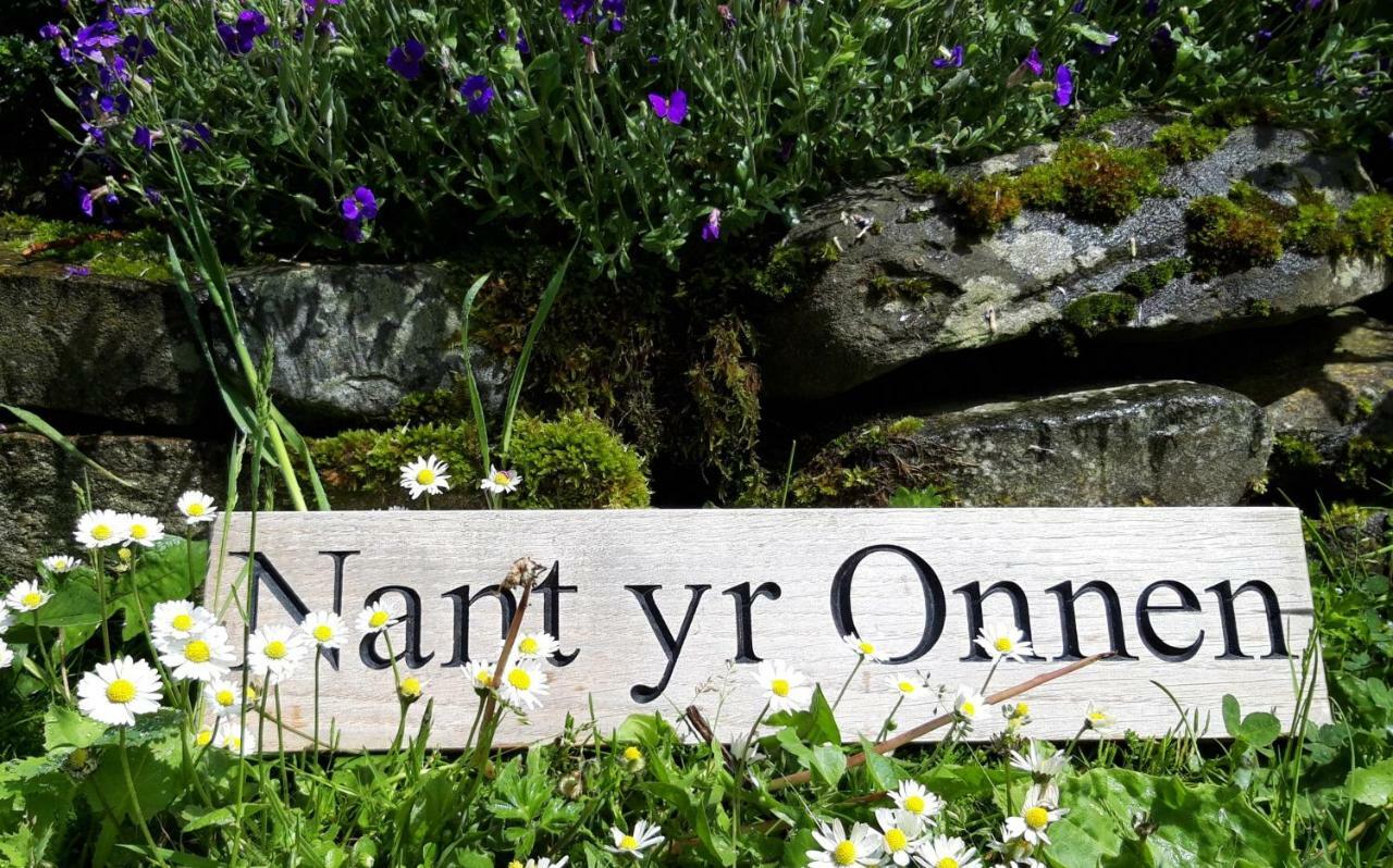 Nant Yr Onnen B&B And Holiday Cottage Tregaron Eksteriør billede