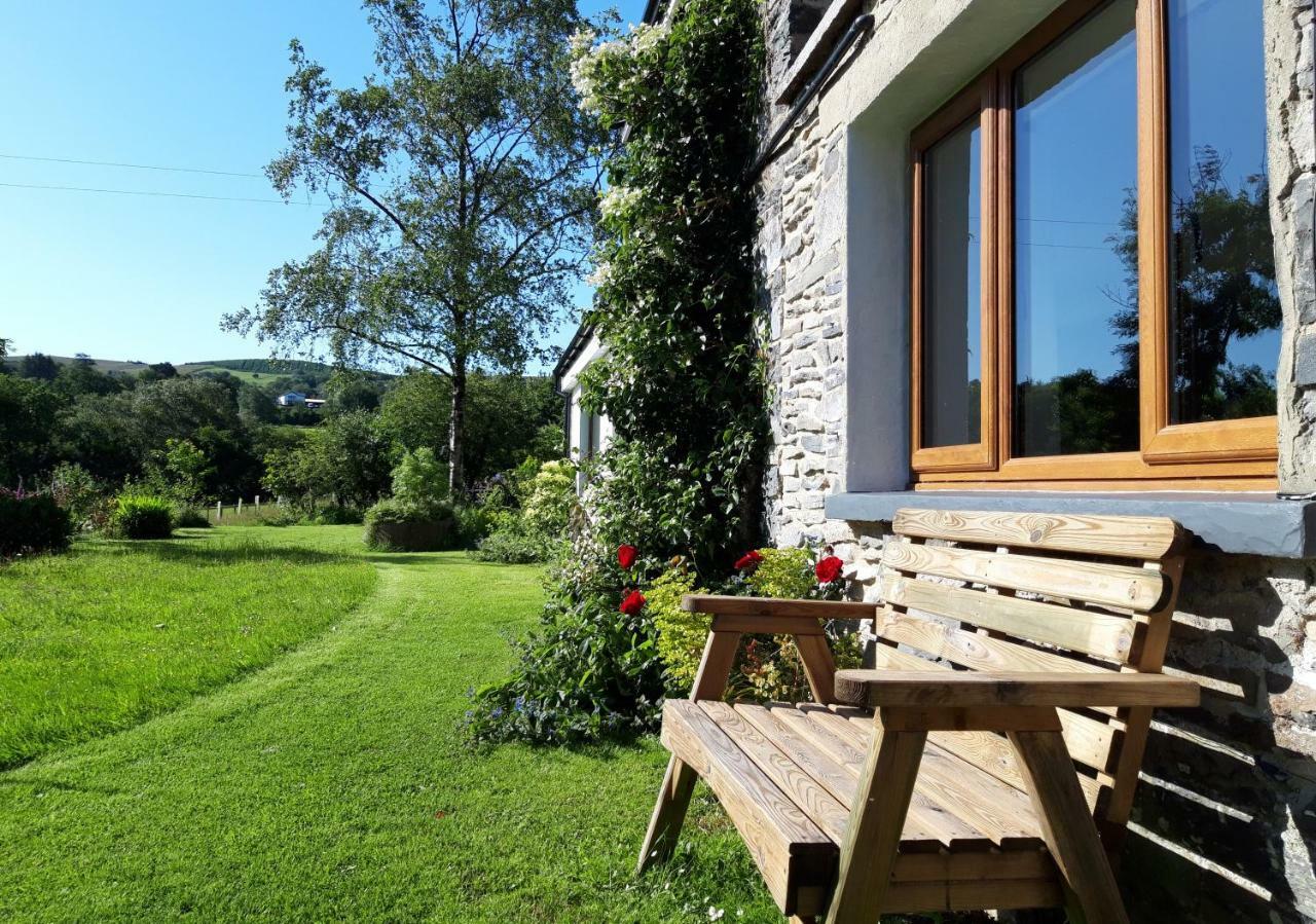 Nant Yr Onnen B&B And Holiday Cottage Tregaron Eksteriør billede